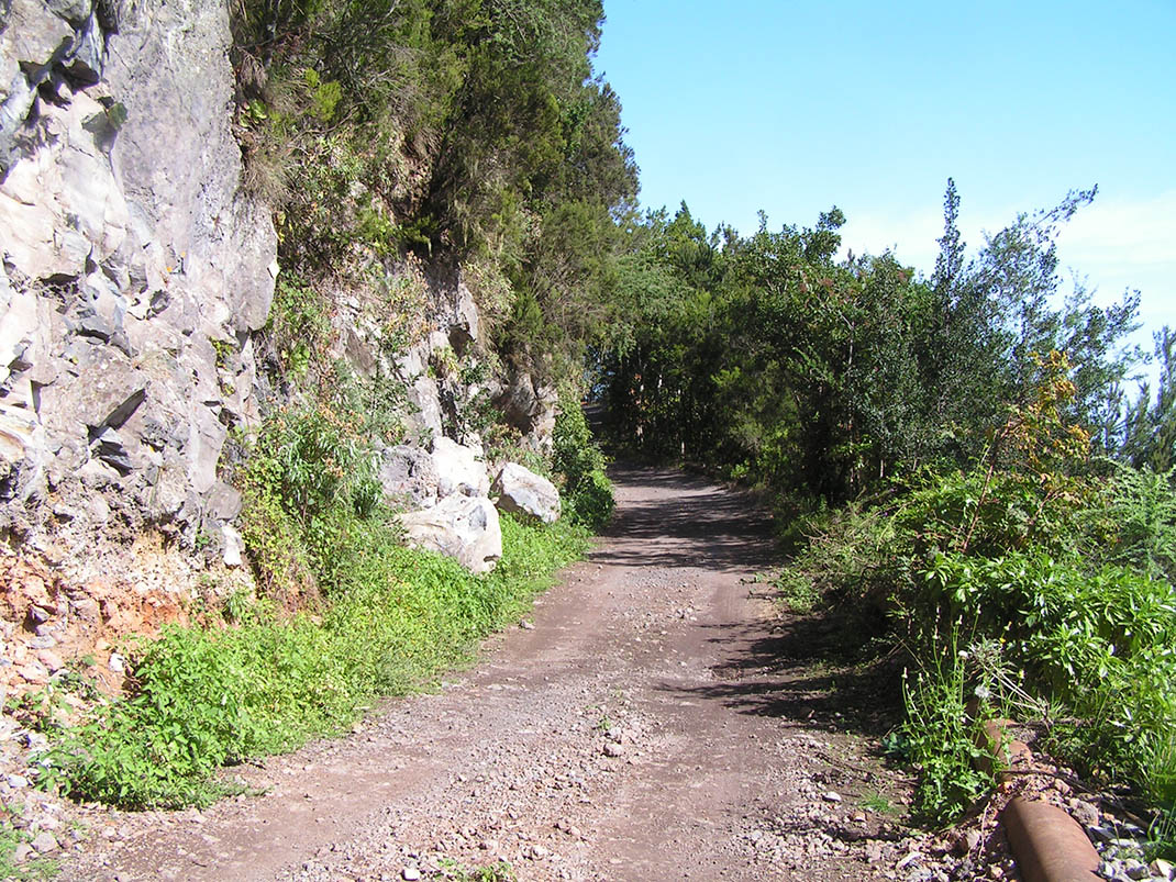 Northern Forest route