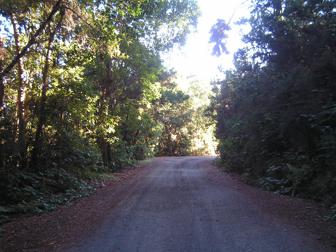 Lomo de La Jara