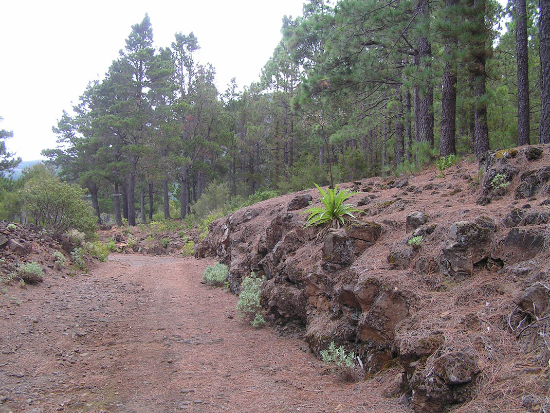 Ramón Caminero via Chimoche