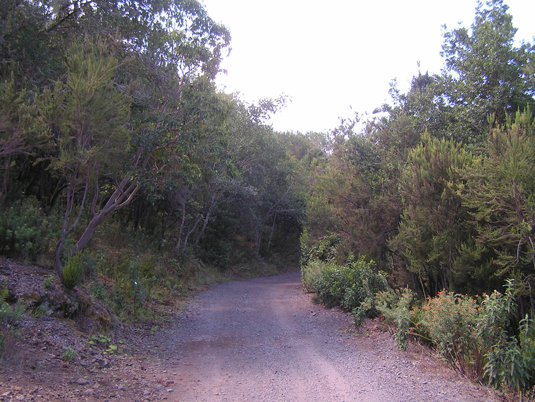 La Orilla del Monte