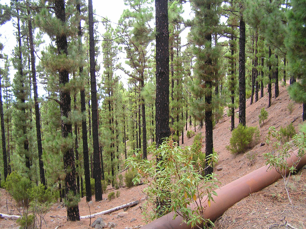 Barranco La Arena