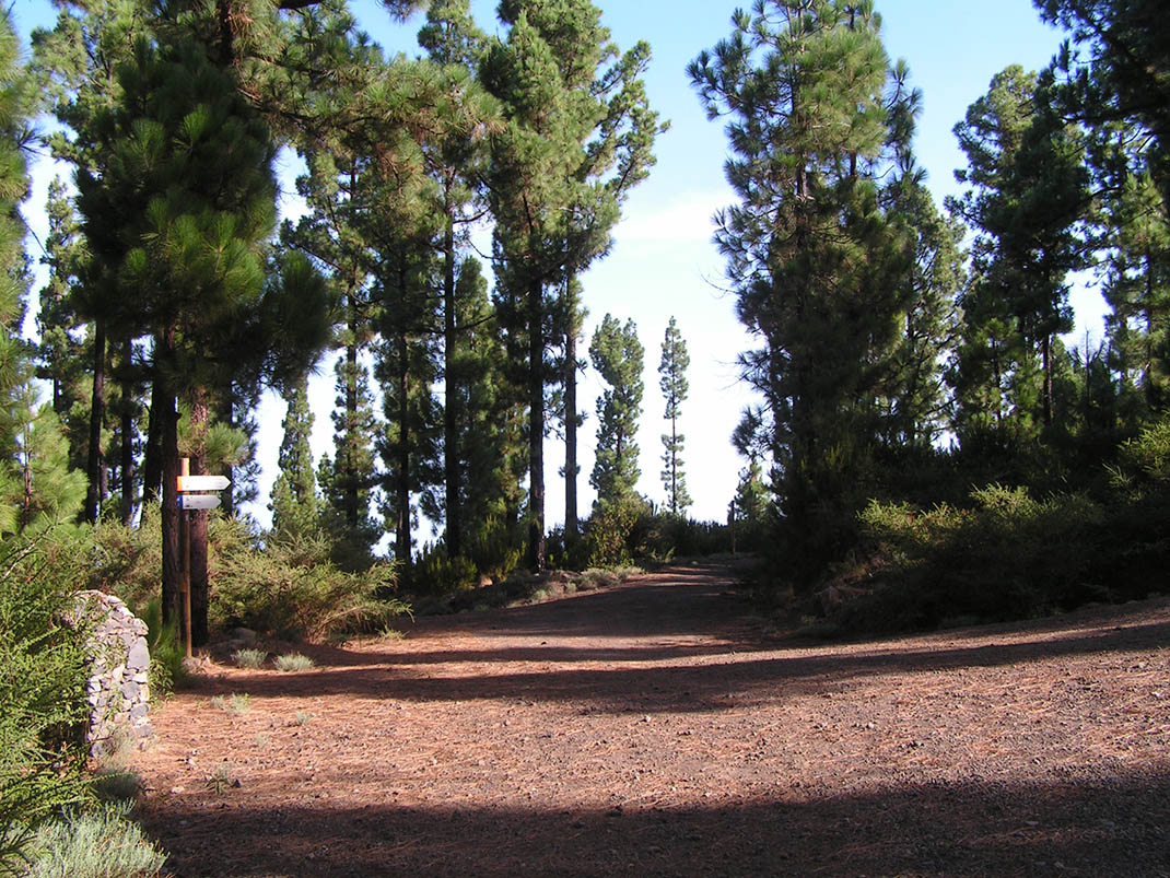 Ruta Forestal del Norte