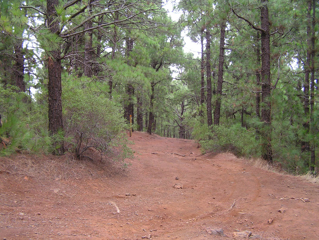 Campamento La Esperanza