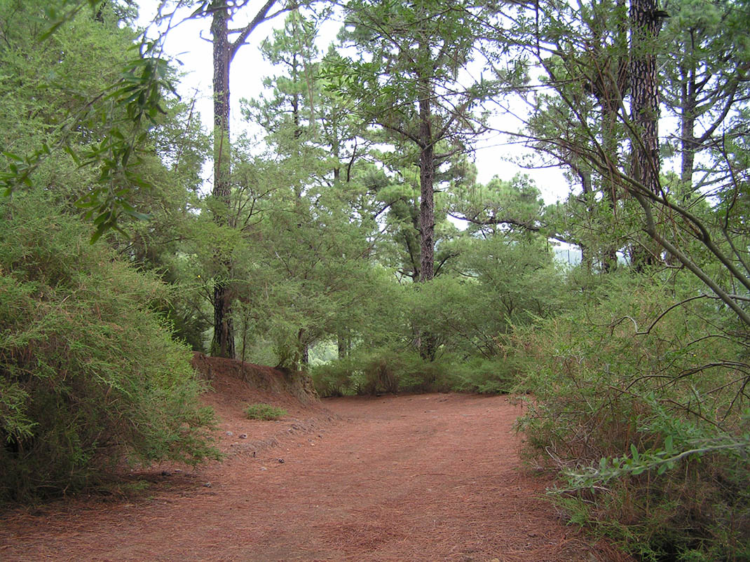 Monte de La Esperanza