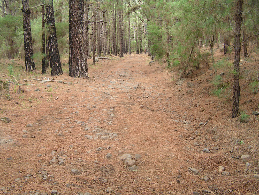 Monte de La Esperanza