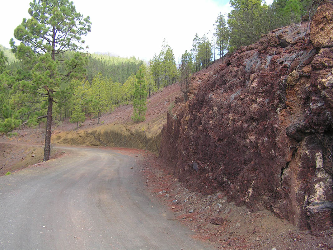 Pinares de Vilaflor