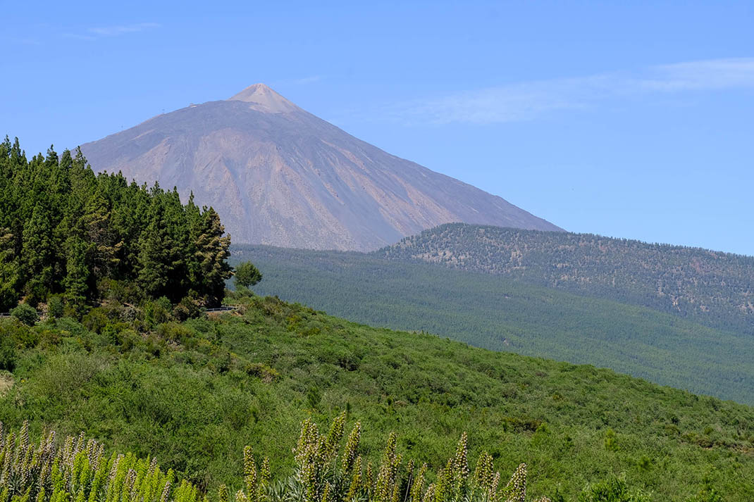 Parque Natural de Corona Forestal