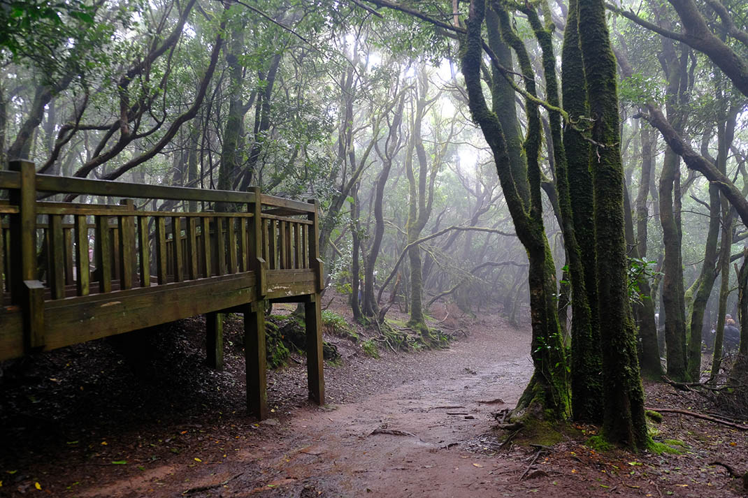 Parque Rural de Anaga