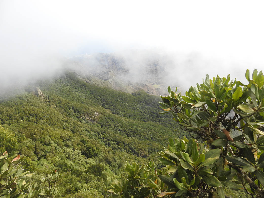 Parque Rural de Anaga