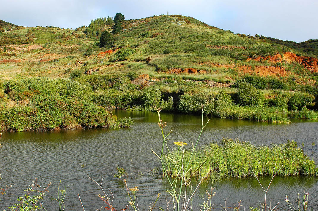 Parque Rural de Teno