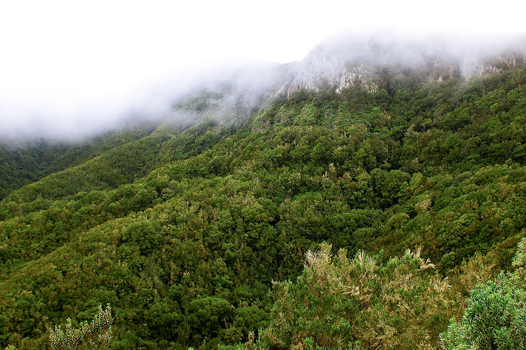 Parque Rural de Teno