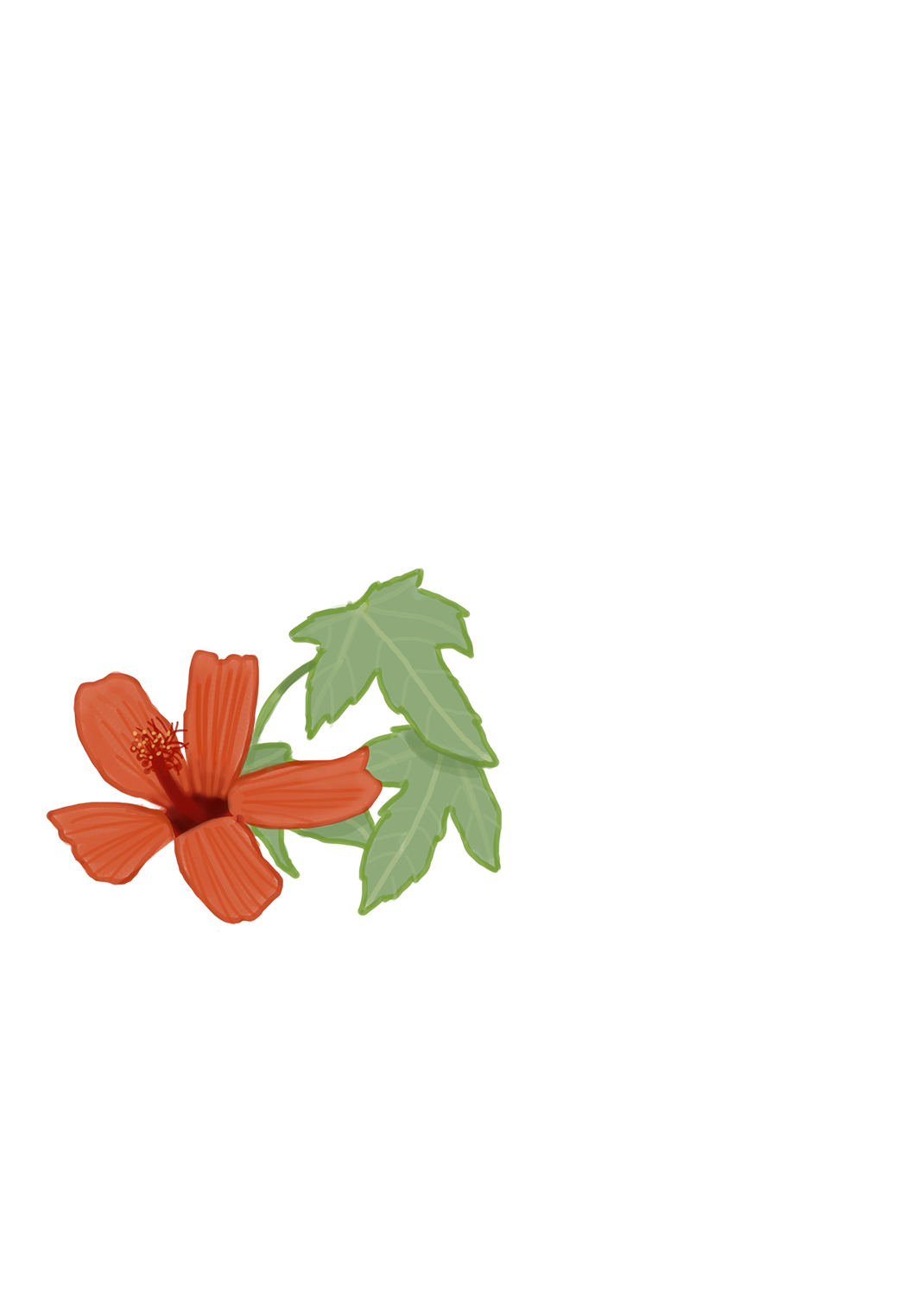 Higuerilla Navaea phoenicea