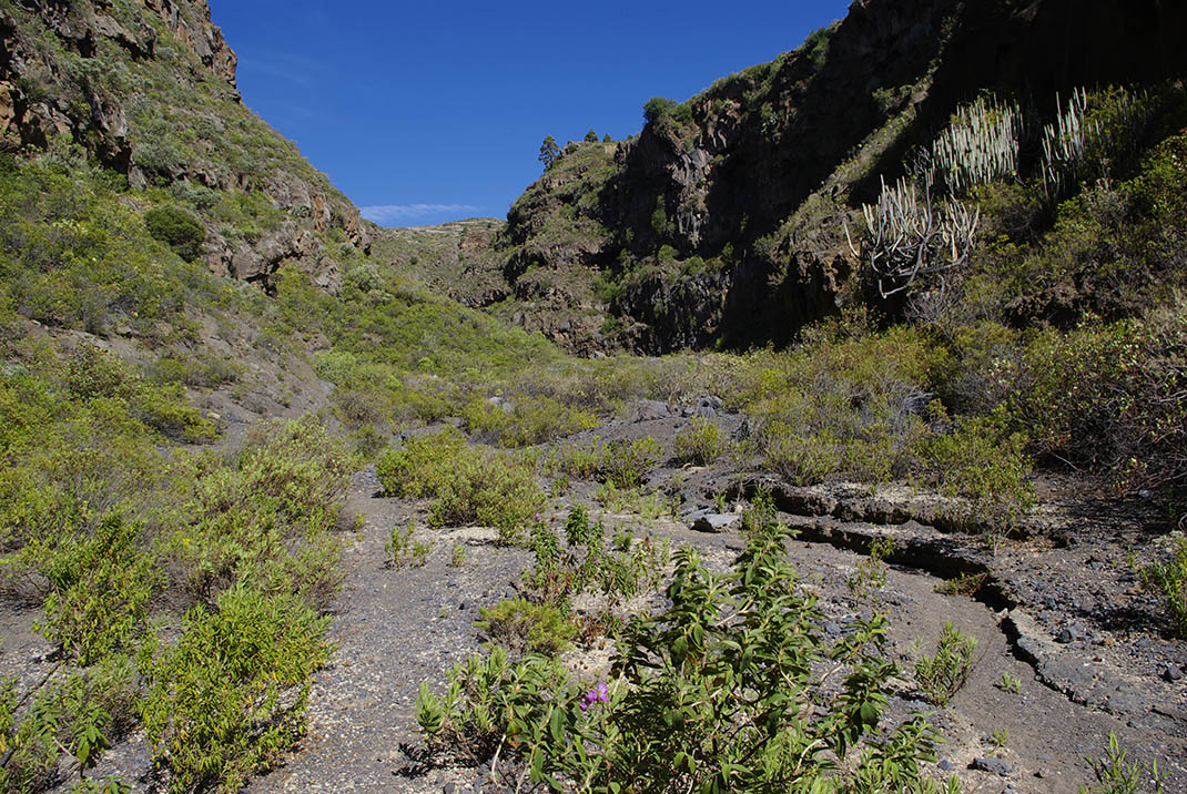 Monumento Natural Barranco de Fasnia y Güímar