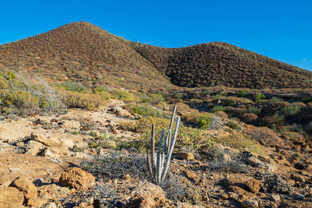 Monumento Natural La montaña Centinela