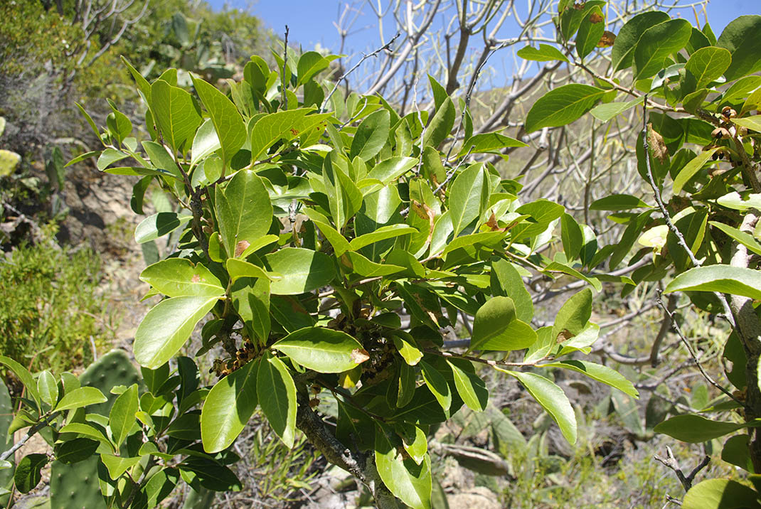 Monumento Natural Los Derriscaderos