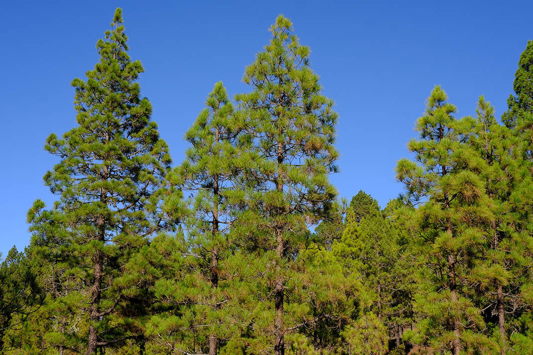 Monumento Natural La Montaña Colorada