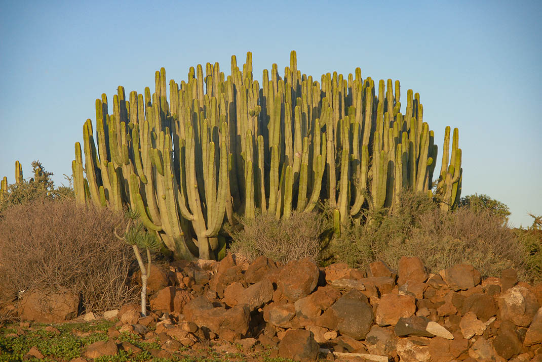 Monumento Natural de La Montaña de Guaza