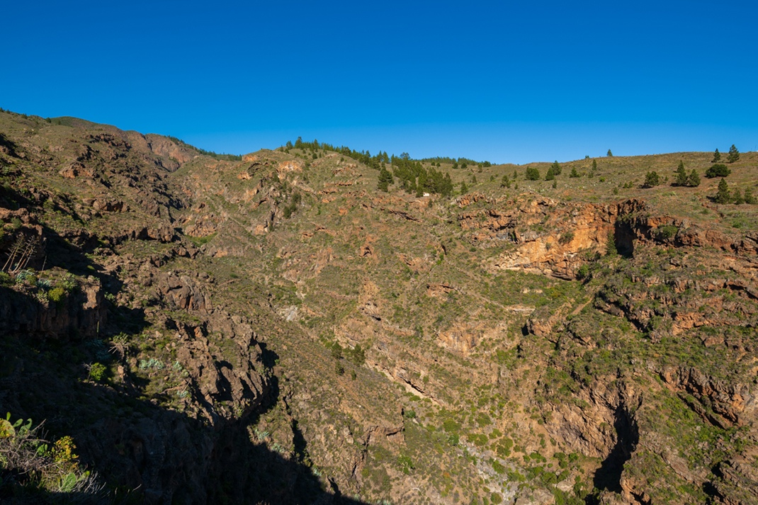 Paisaje Protegido Barranco de Erques