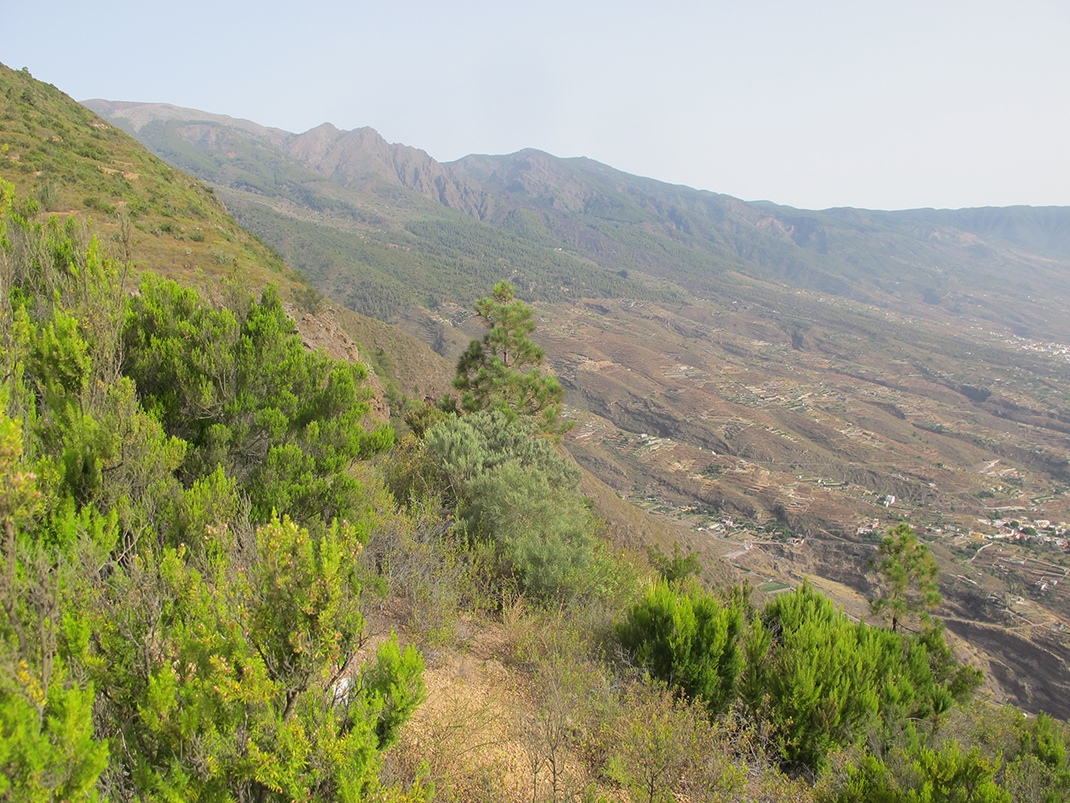 Paisaje Protegido Siete Lomas