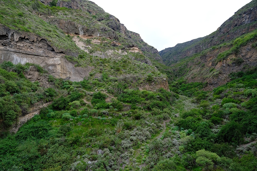 Sitio de Interés Científico de Barranco de Ruiz