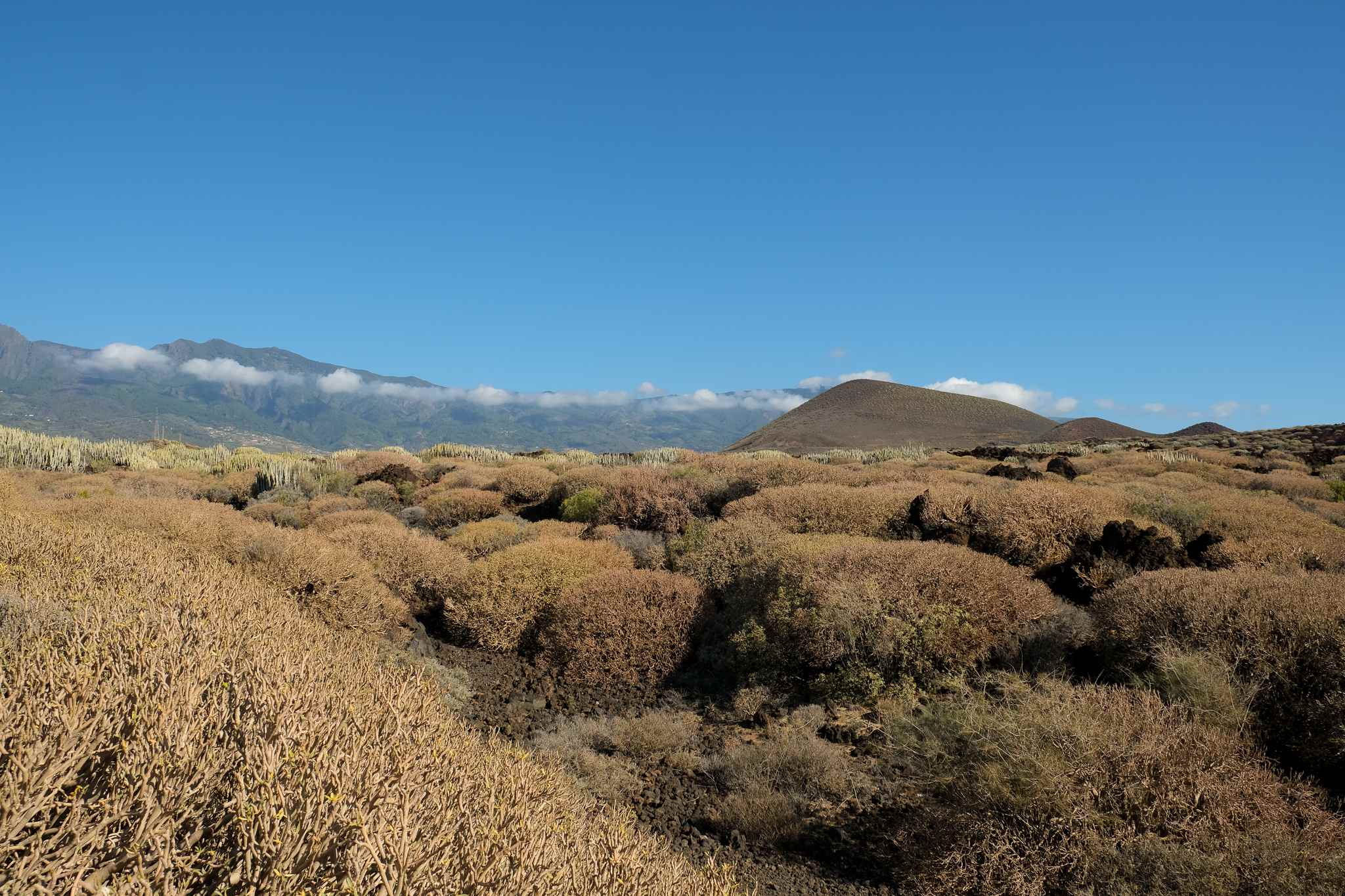 El Malpaís de Güímar es uno de los rincones más populares del sur de Tenerife.