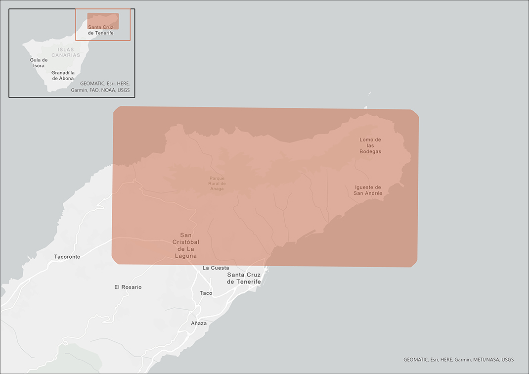 Guía de actividades al aire libre en Tenerife 