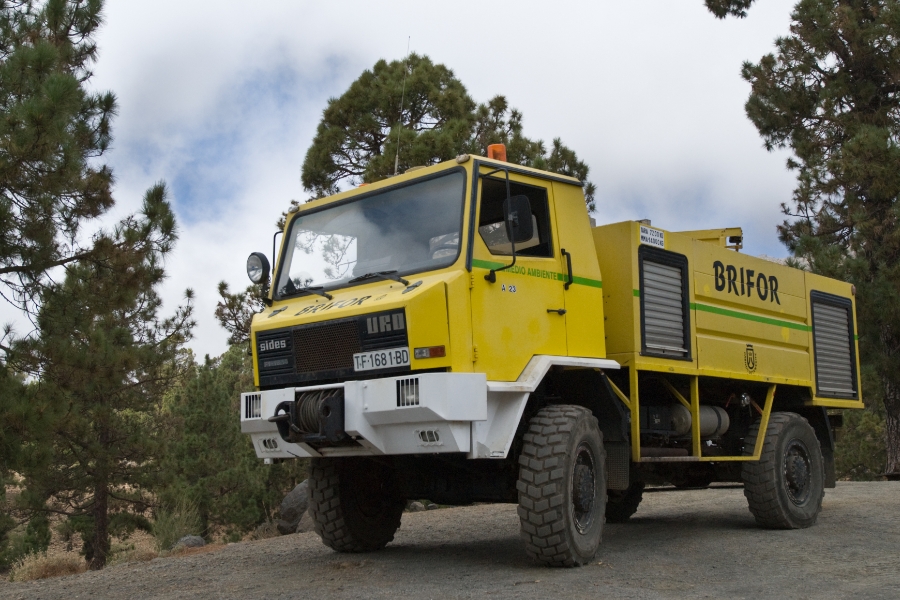 Help us to prevent forest fires in Tenerife