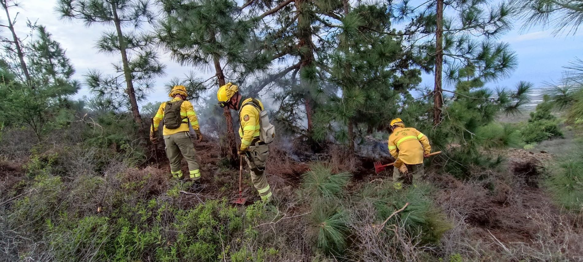 Prevencion de Incendios