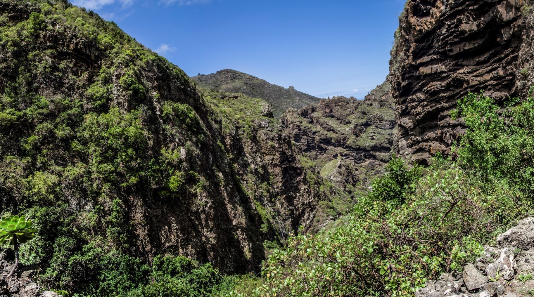 Barranco Cuevas Negras / Barranco del Agua