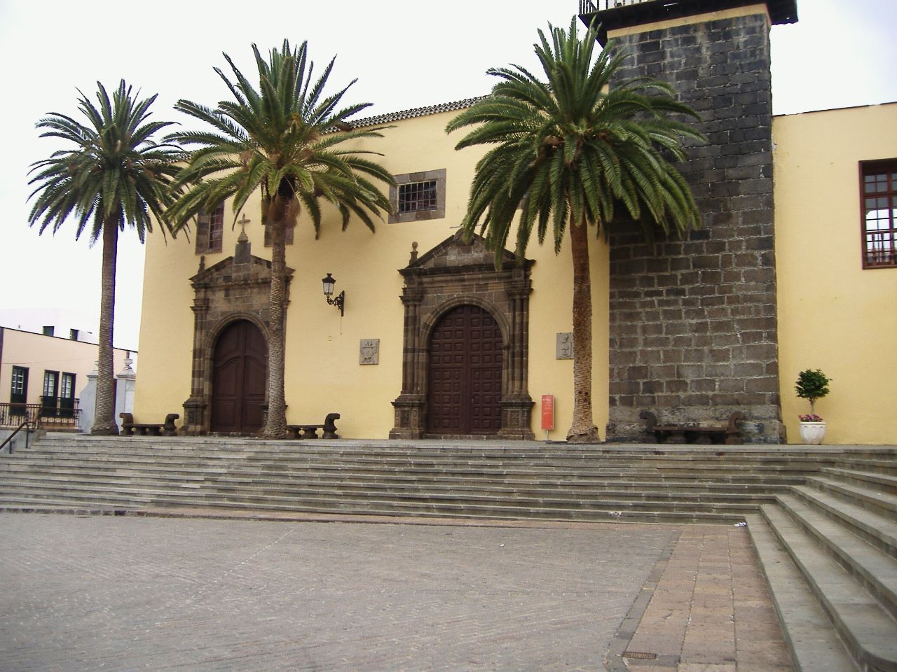 Palmas de la Iglesia de San Francisco