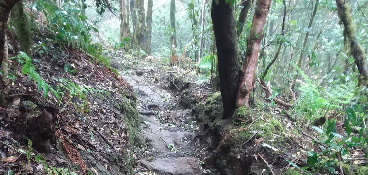 PRA 18 La Asomada - Cruz de Afur