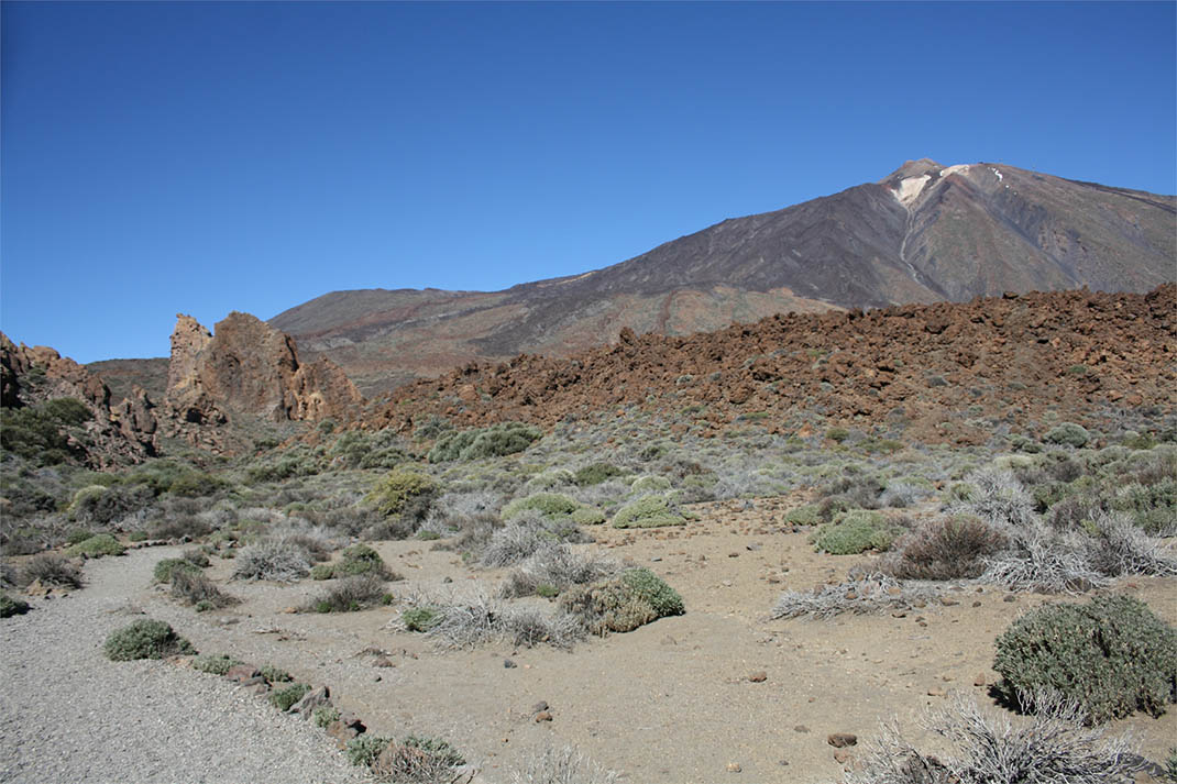 Roques de García