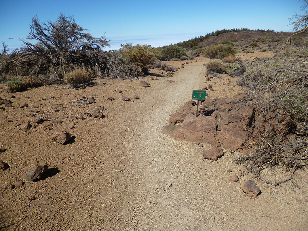 Montaña de los Tomillos