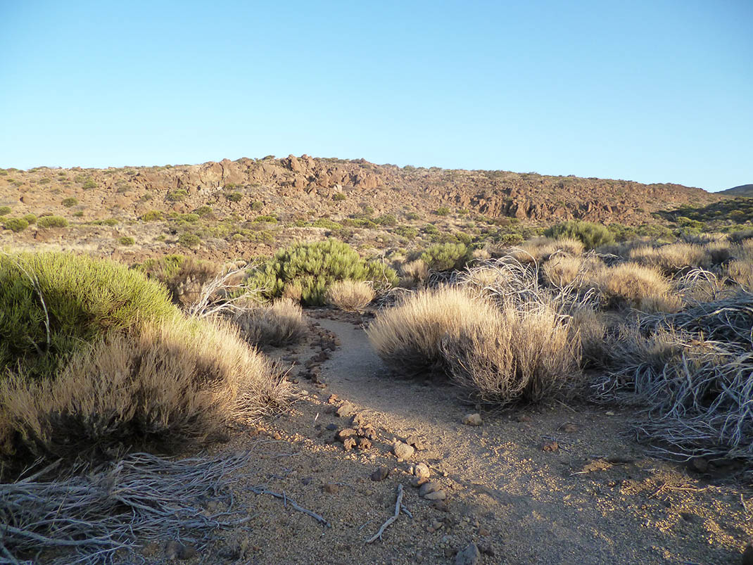 Montaña Negra