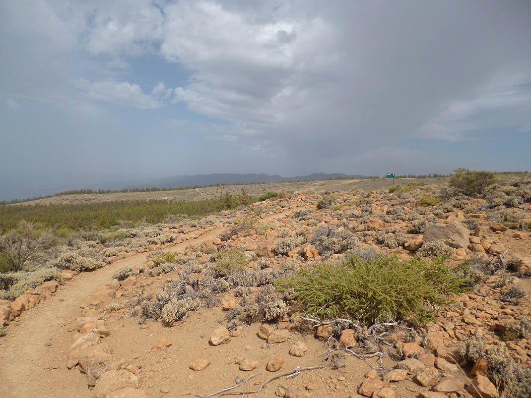 Ramal Alto de La Fortaleza