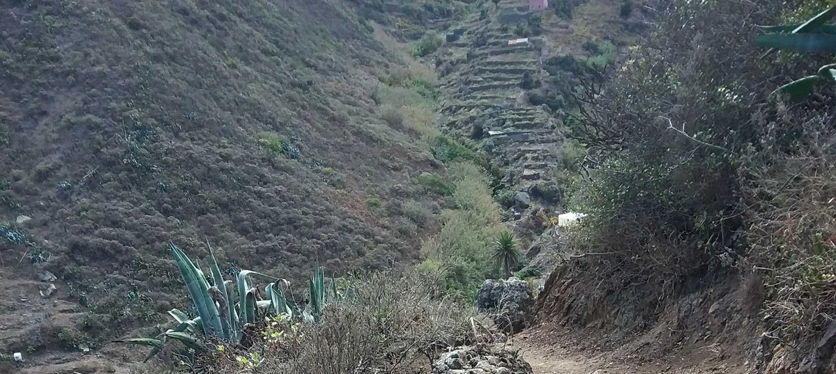 PR-TF 04.1 Derivación Playa del Roque de Las Bodegas