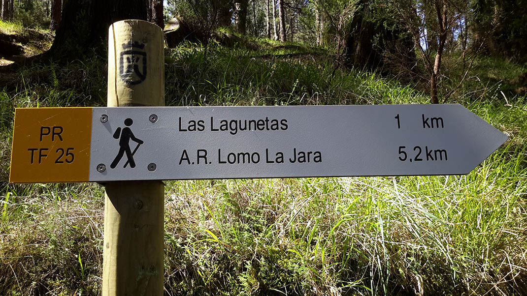 Las Raíces - Lomo La Jara