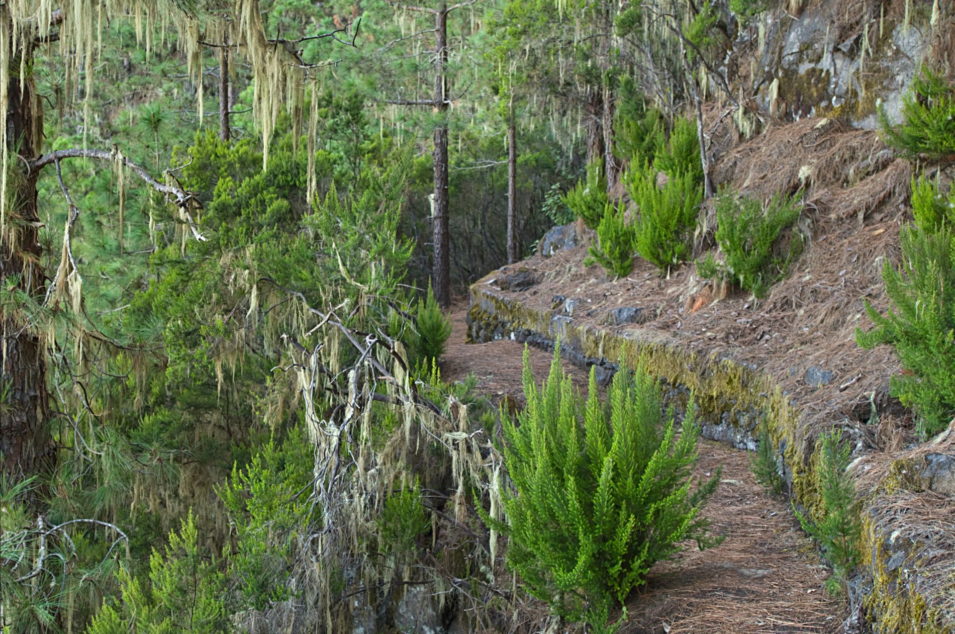 Ruta del Agua