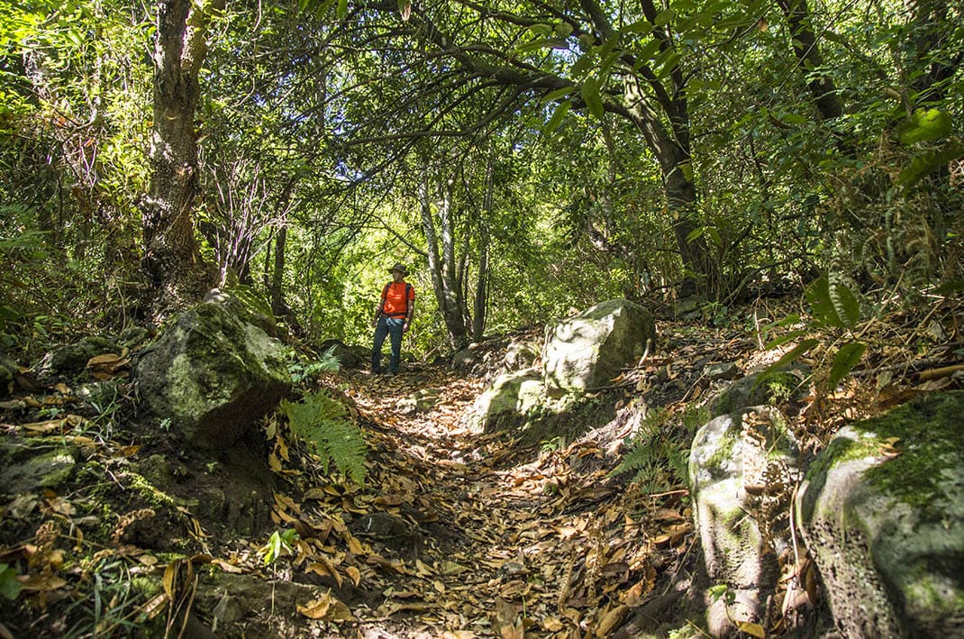 Camino Punta del Risco