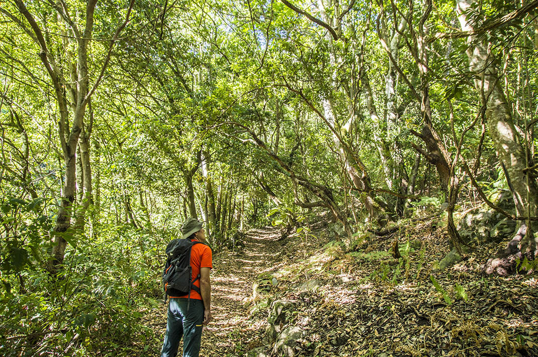 Camino Punta del Risco