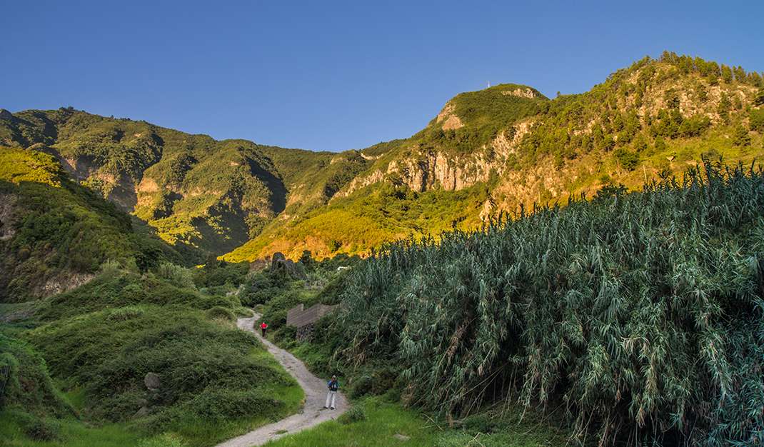 Ladera de Tigaiga