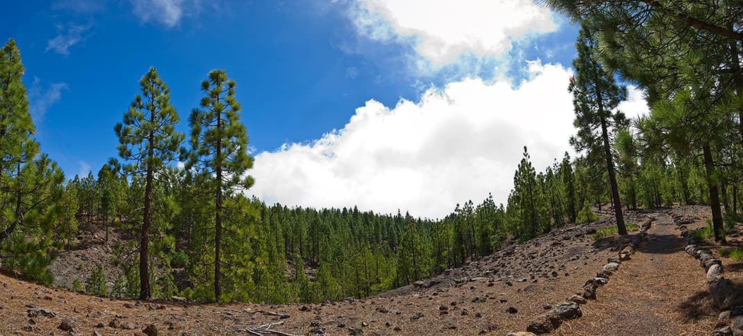 San José de los Llanos- Montaña Chinyero