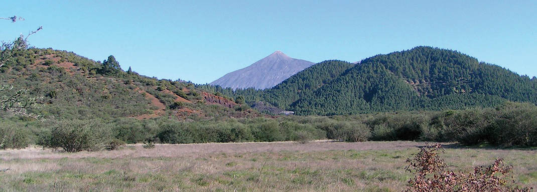 San José de Los Llanos - Punta de Teno