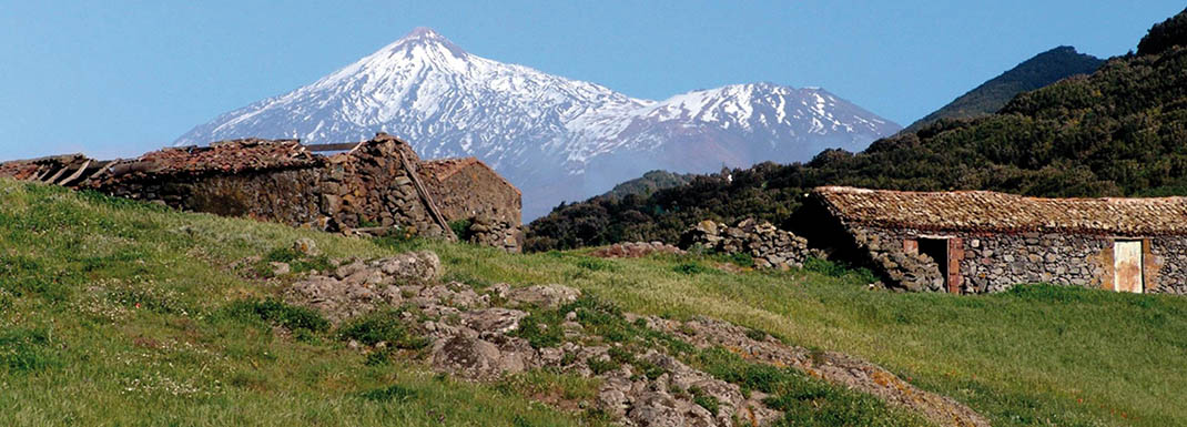 San José de Los Llanos - Punta de Teno