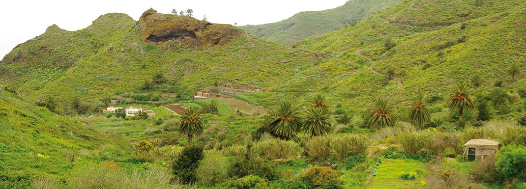 Monte del Agua Ramal Las Huertas