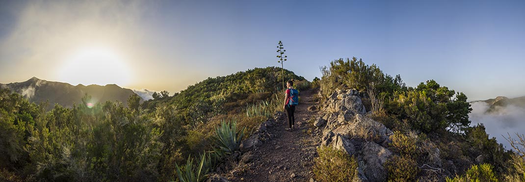 Monte del Agua Ramal Las Huertas