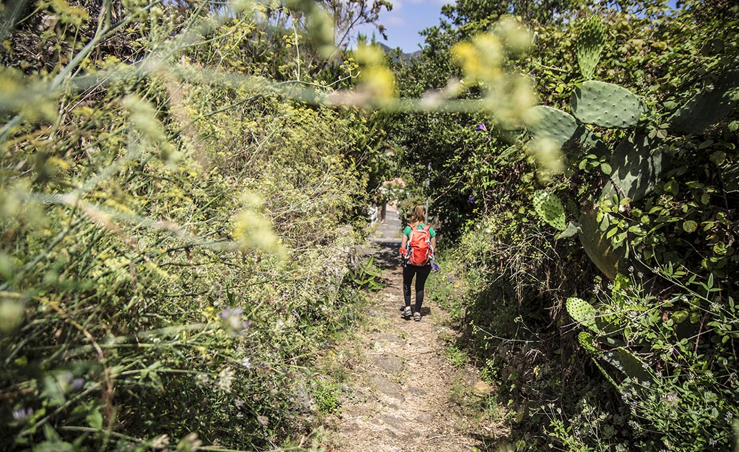 Monte del Agua Ramal Las Lagunetas