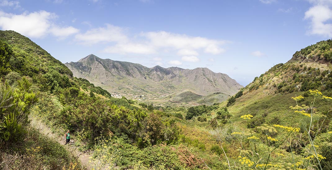 Monte del Agua Ramal Las Lagunetas