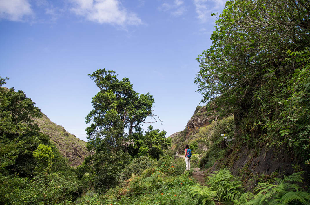 Cuevas Negras Desvío Tierra del Trigo