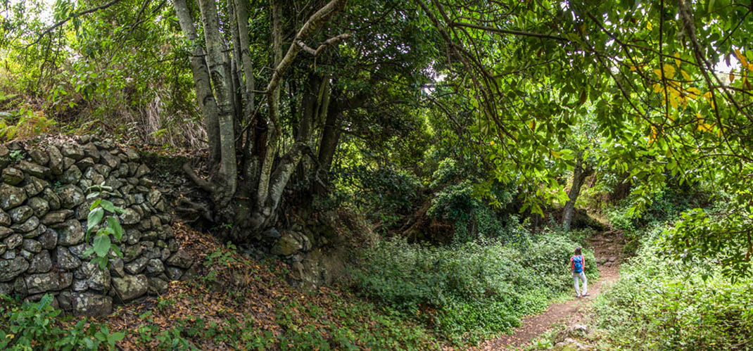 Cuevas Negras Desvío Tierra del Trigo